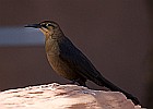 2012-05-20(b)