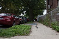 20180923_014