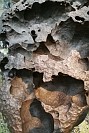 20180925_038