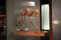 20180925_053