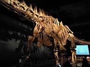 20180925_063