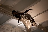 20180925_071