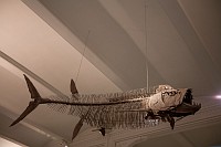 20180925_072
