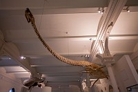 20180925_079
