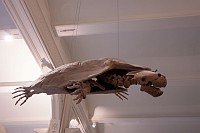 20180925_080