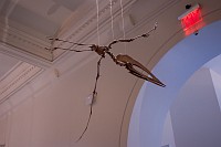 20180925_084
