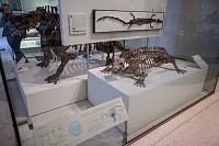 20180925_091