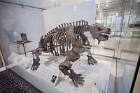 20180925_092