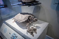 20180925_094