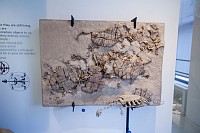20180925_095