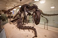 20180925_103