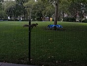 20180927_294