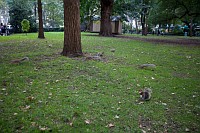 20181001_098
