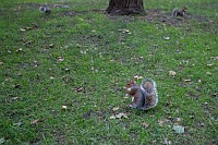 20181001_099