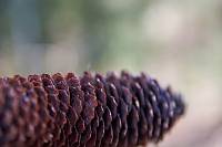 20190421_B029