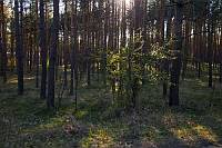 20190421_B037